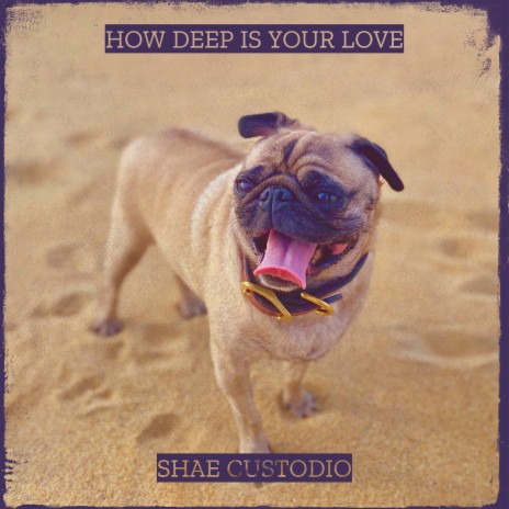 How Deep Is Your Love | Boomplay Music