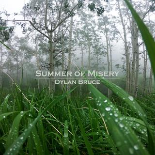 Summer of Misery (Acoustic) lyrics | Boomplay Music