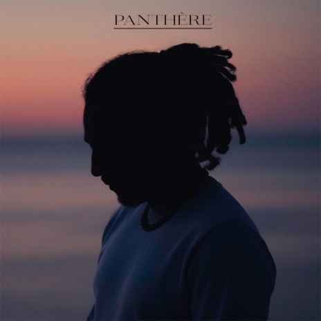 Panthère | Boomplay Music