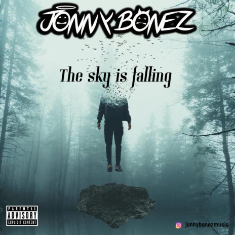 The Sky is Falling | Boomplay Music