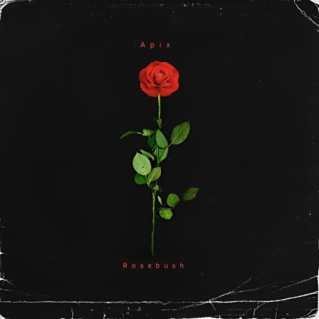 Rosebush ft. Mijael Peralta | Boomplay Music