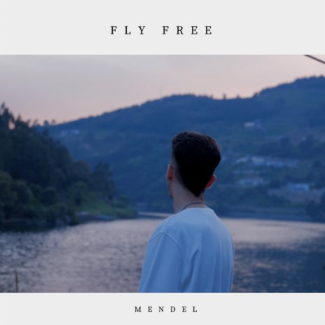 FLY FREE | Boomplay Music