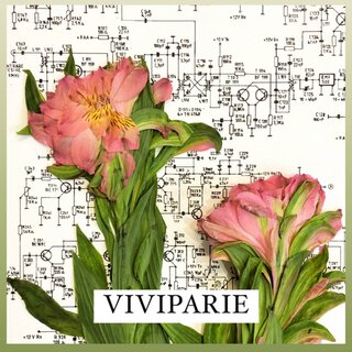 Viviparie