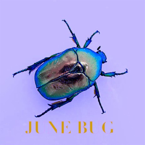 June Bug | Boomplay Music
