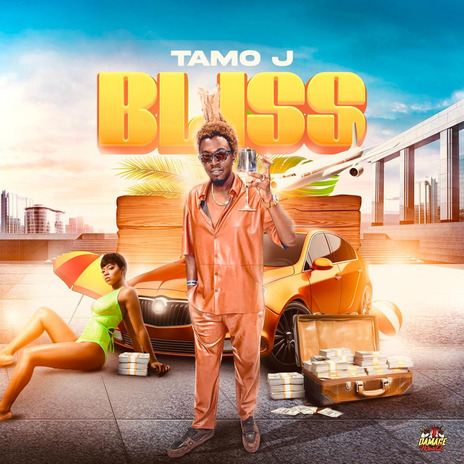 Bliss ft. Damage Musiq | Boomplay Music