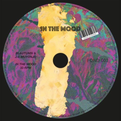 IN THE MOOD (Radio Edit) ft. J.C Muyonjo | Boomplay Music