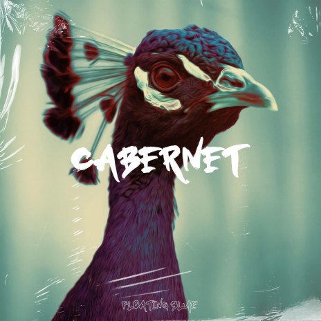 Cabernet ft. Floating Animal | Boomplay Music