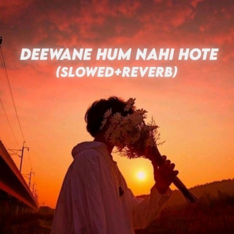 Deewane Hum Nahi Hote (Slowed+Reverb) | Boomplay Music