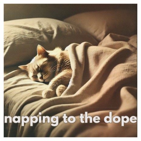 Napping to Dope | Boomplay Music