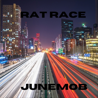 Rat Race