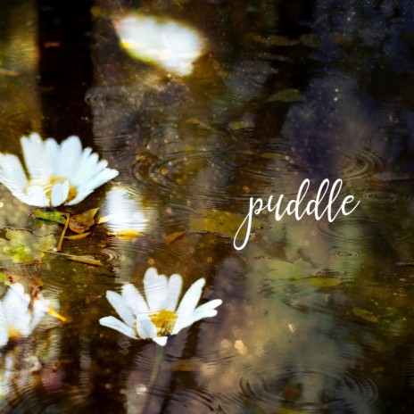 puddle | Boomplay Music