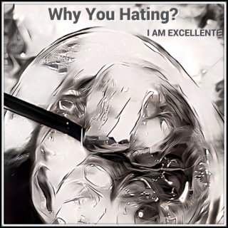 Why You Hating?