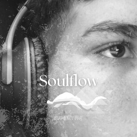 Soulflow | Boomplay Music