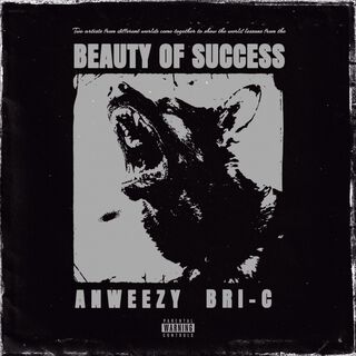 Beauty of Success (Accelerate Mix)