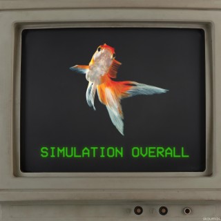 Simulation Overall
