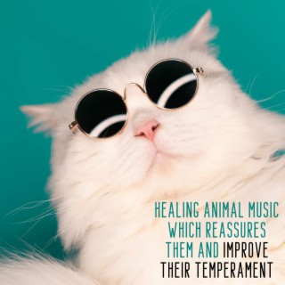 Healing Animal Music Which Reassures Them and Improve Their Temperament