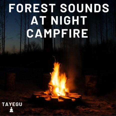 Forest Sounds at Night Campfire Camping Wolves and Crickets 1 Hour Relaxing Nature Ambient Yoga Meditation Sound For Sleeping Relaxation or Studying | Boomplay Music