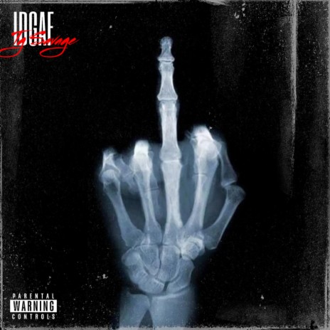 Idgaf | Boomplay Music