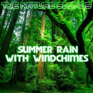 Summer Rain with Windchimes