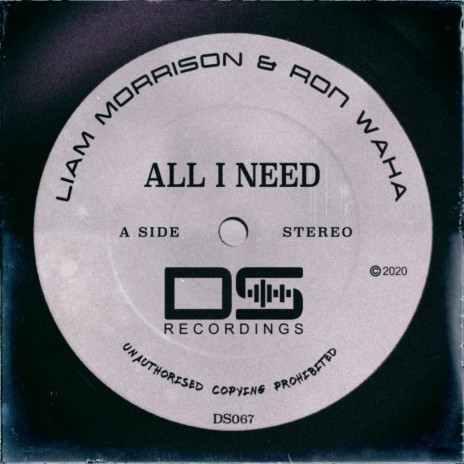 All I Need (Original Mix) ft. Ron Waha | Boomplay Music