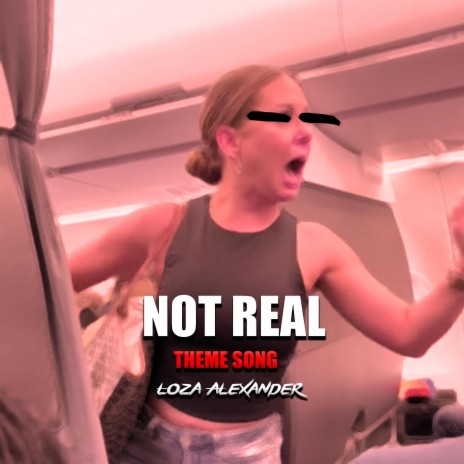 Not Real Meme Song | Boomplay Music