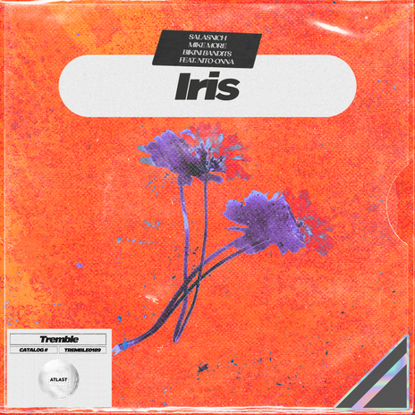 Iris ft. Mike More, Bikini Bandits & Nito-Onna | Boomplay Music