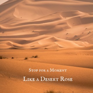 Like a Desert Rose
