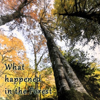 What happened in the Forest