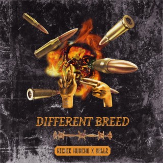 Different breed ft. K3llz lyrics | Boomplay Music