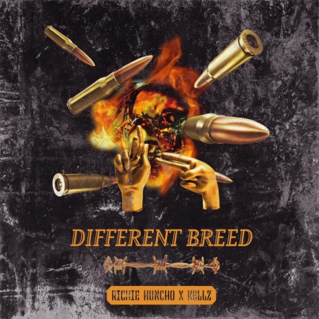 Different breed ft. K3llz | Boomplay Music