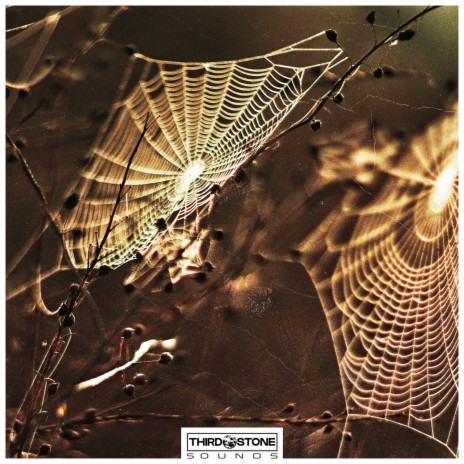 Gossamer II | Boomplay Music