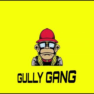 Gully Gang