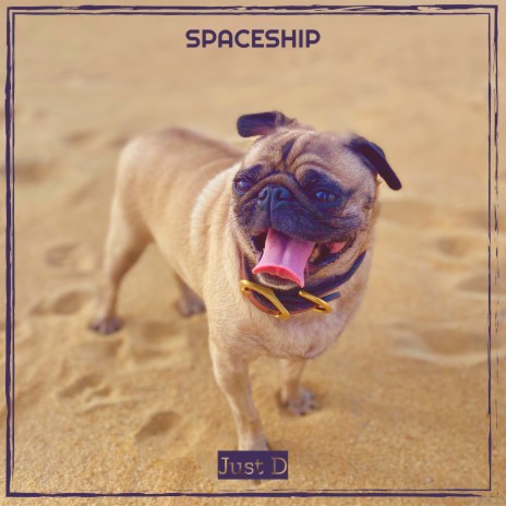 Spaceship | Boomplay Music