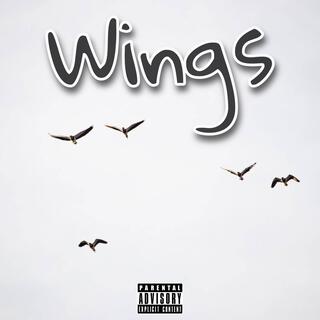 Wings