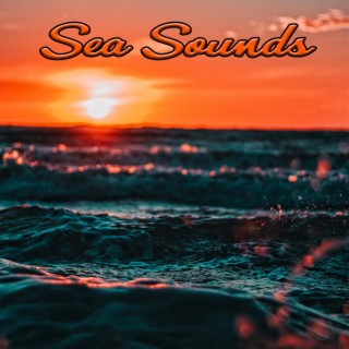 Relaxing Sea Sounds