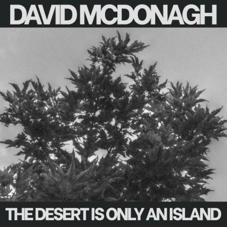 The Desert Is Only An Island | Boomplay Music