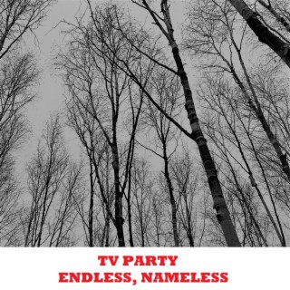 Endless and Nameless