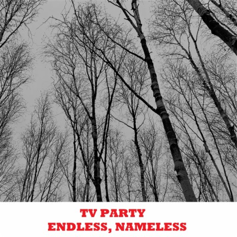 Endless and Nameless | Boomplay Music