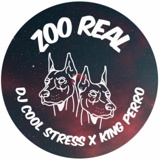 DJ Cool Stress
