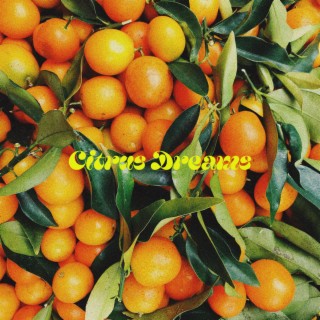 citrus dreams