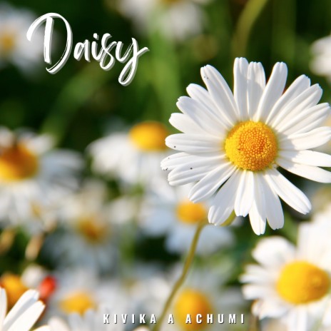 Daisy | Boomplay Music