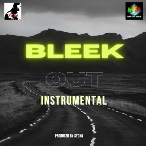 BLEEK OUT (INSTRUMENTAL) | Boomplay Music