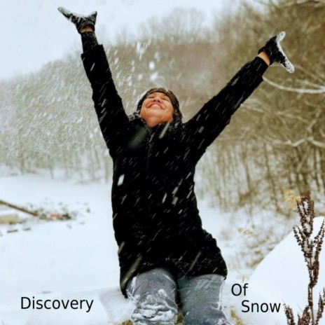 Discovery Of Snow | Boomplay Music