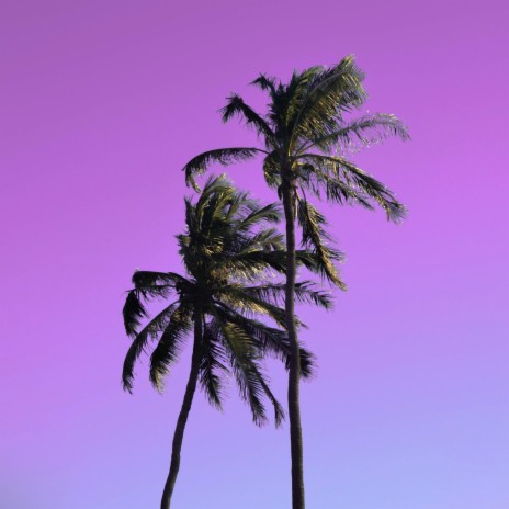 Purple Nights | Boomplay Music