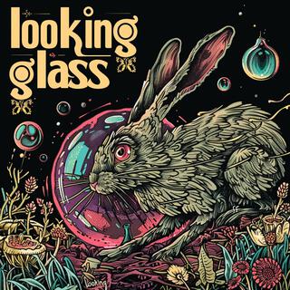 Looking Glass