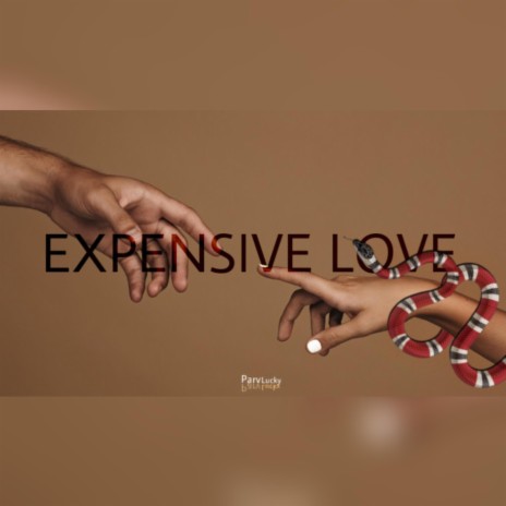 Expensive Love