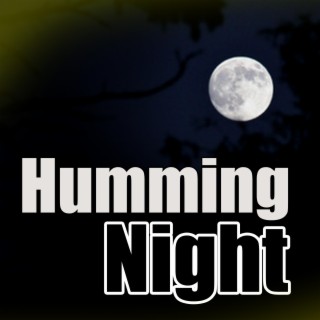 Humming Night