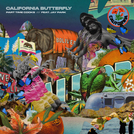 California Butterfly (Feat. 박재범) | Boomplay Music