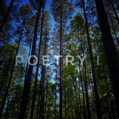 Poetry l | Boomplay Music