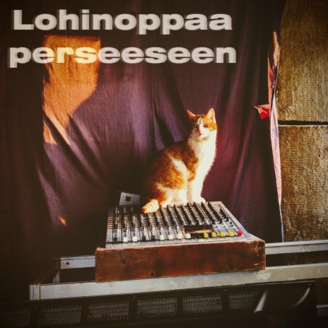 Lohinoppaa perseeseen | Boomplay Music